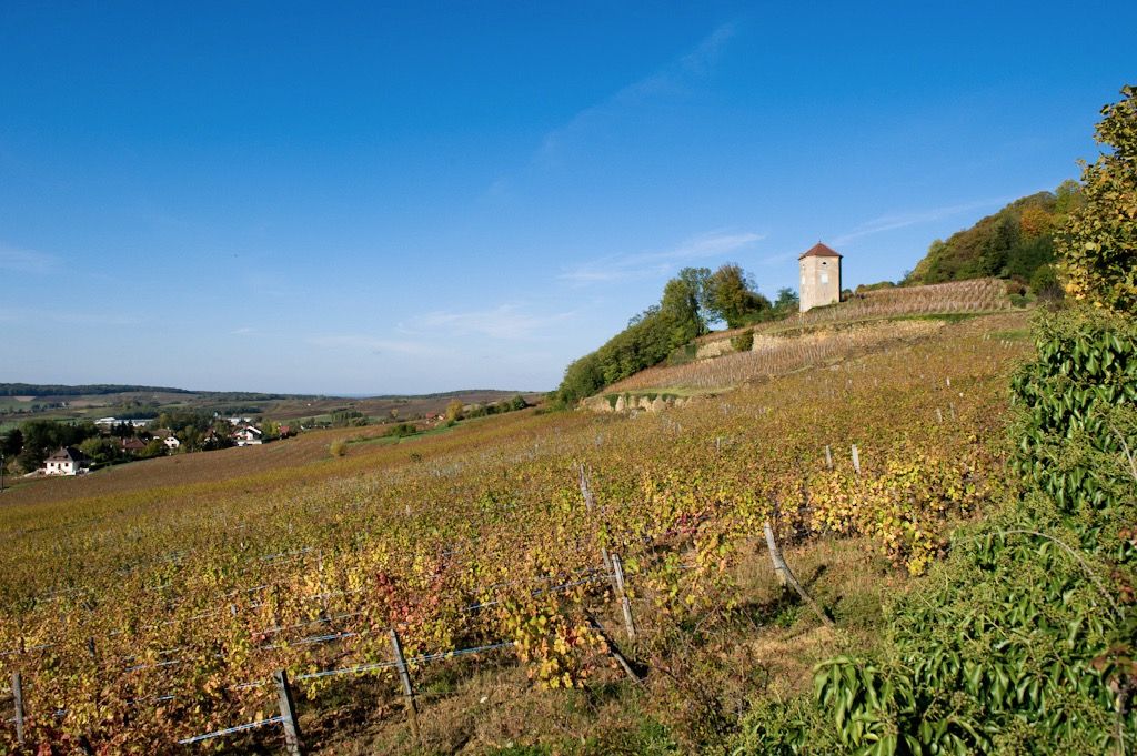 Communes Arbois Tour de Curon Arbois-75